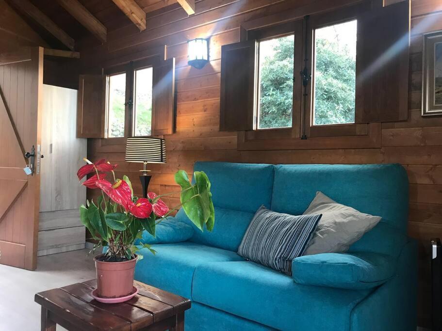 Cozy Mountain Chalet 拉奥罗塔瓦 外观 照片