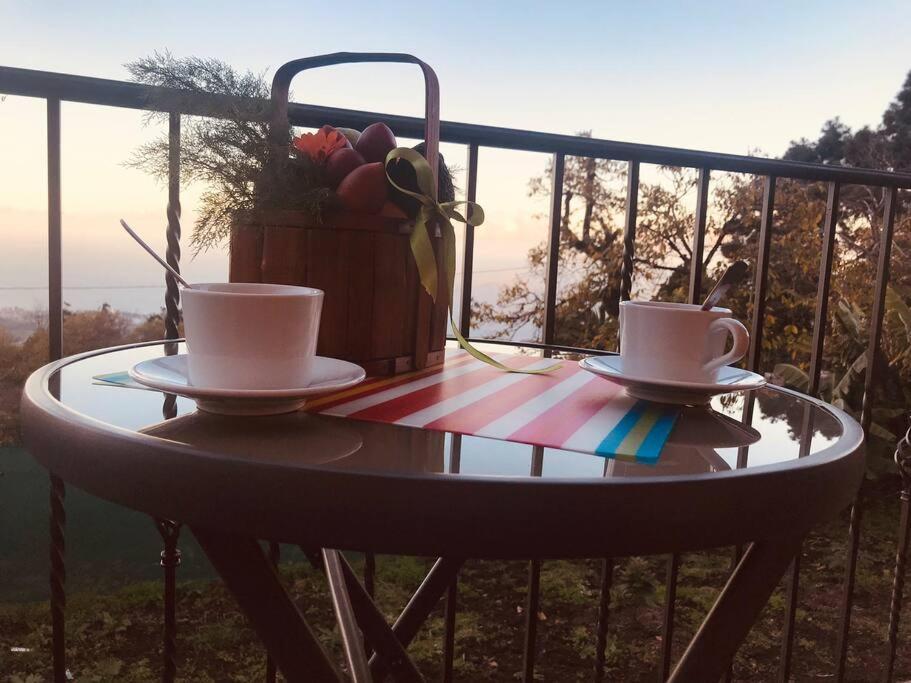 Cozy Mountain Chalet 拉奥罗塔瓦 外观 照片